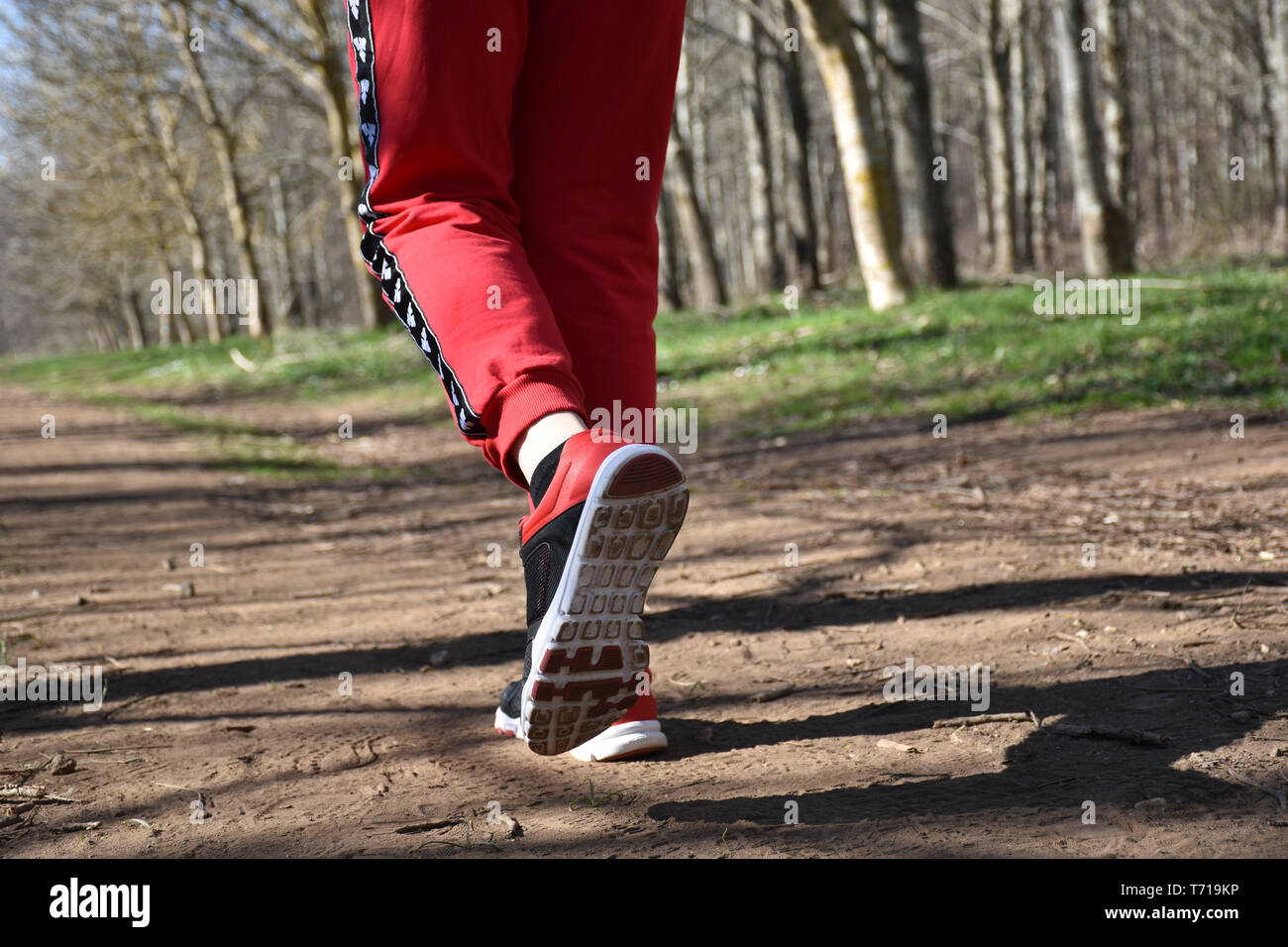 view of part of the legs of a runner on the ground trail with the ...