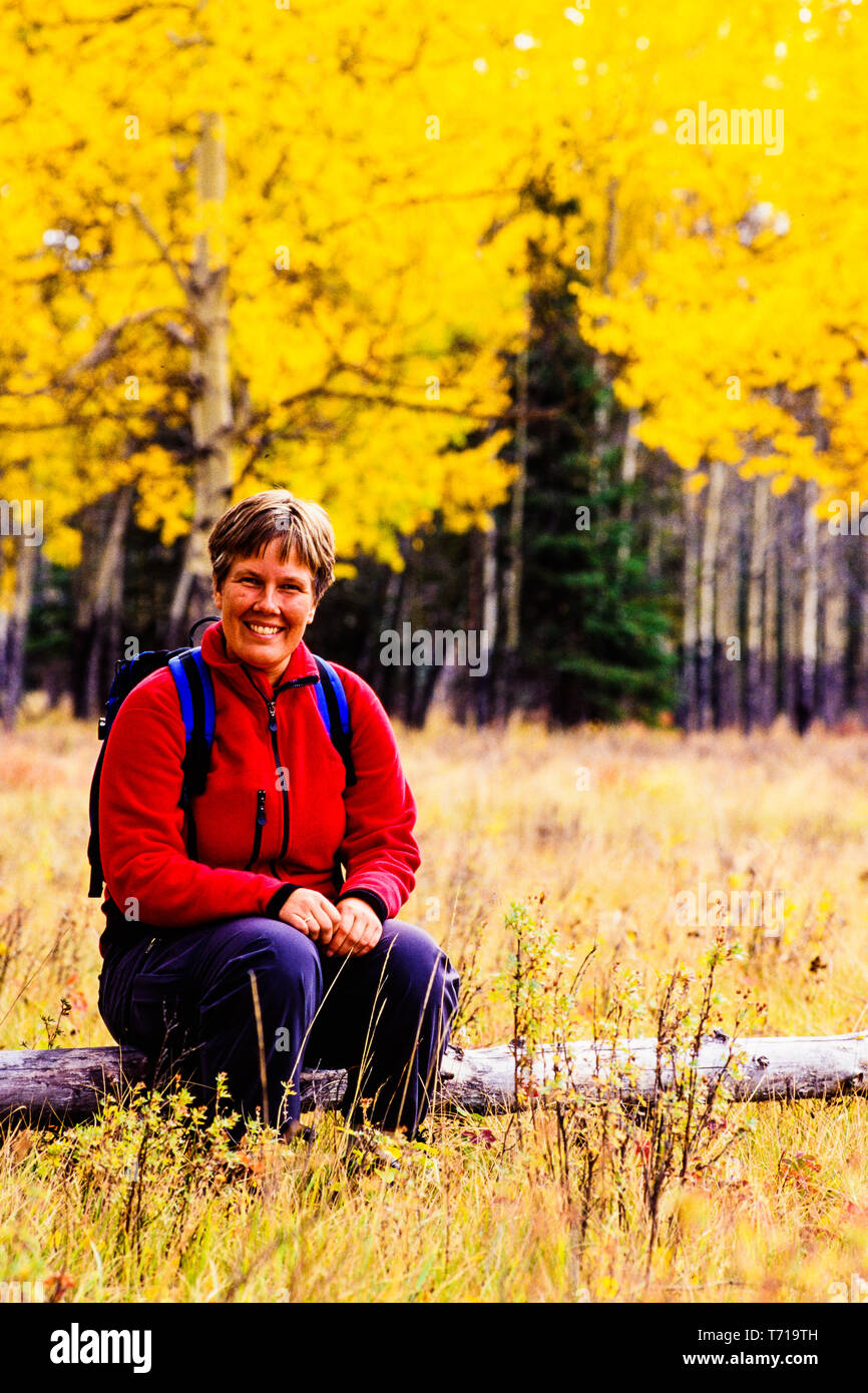 Woman sitting in front  of yellow aspen at Hillsdale meadows. Stock Photo