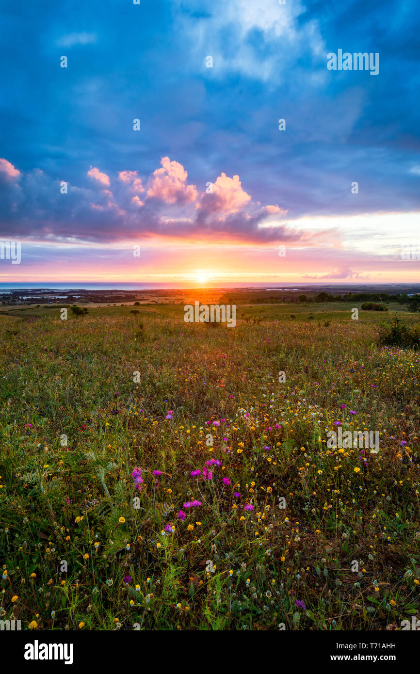 Sunset on the horizon with sky over a rural field and the sea in the background. Sunset, Sunrise over rural meadow field. Countryside landscape with s Stock Photo