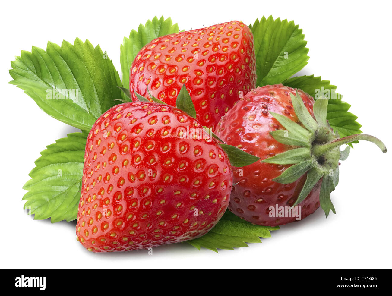 a picture of fresh red strawberries with lots of nutrients Stock Photo