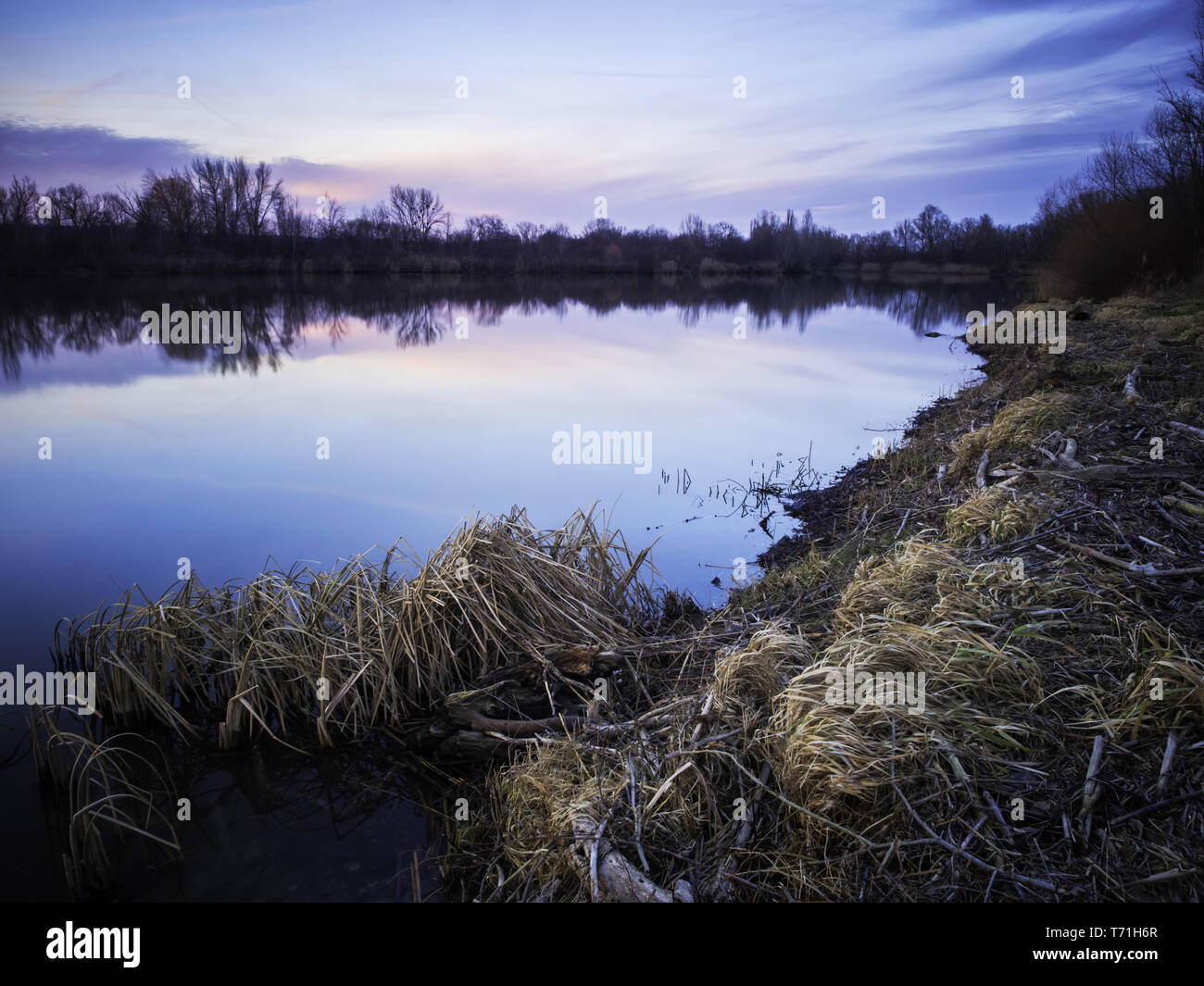 Reflections in a lake in Burgenland Stock Photo - Alamy
