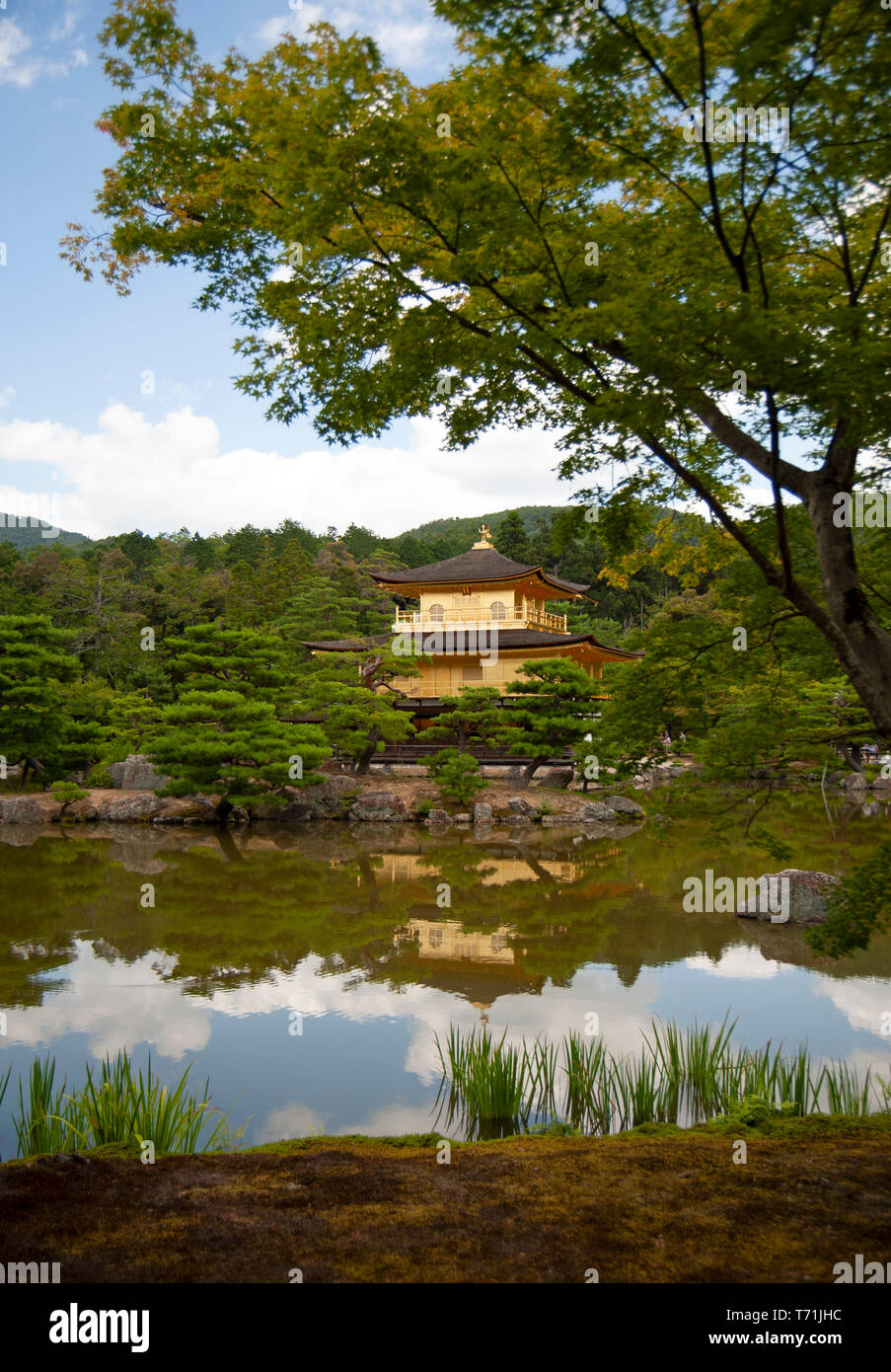 Kinkaku-Ji or the Temple of the Golden Pavilion. A Zen Buddhist temple surrounded by beautiful pools, trees and gardens in Kyoto Japan. Stock Photo