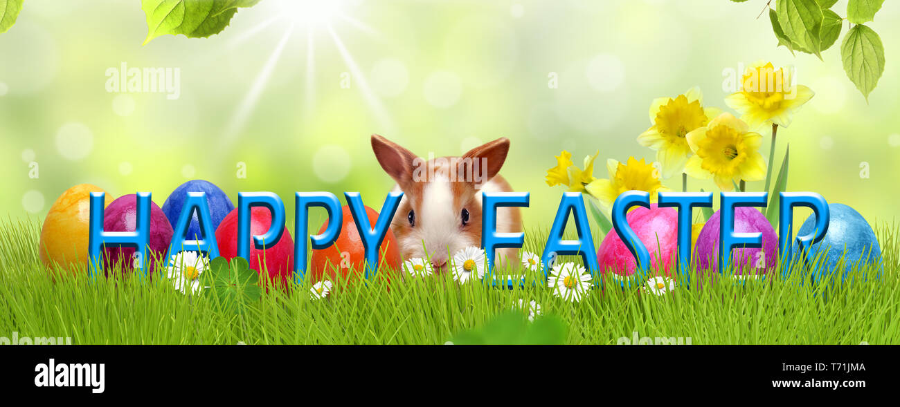 Easter 145 Stock Photo