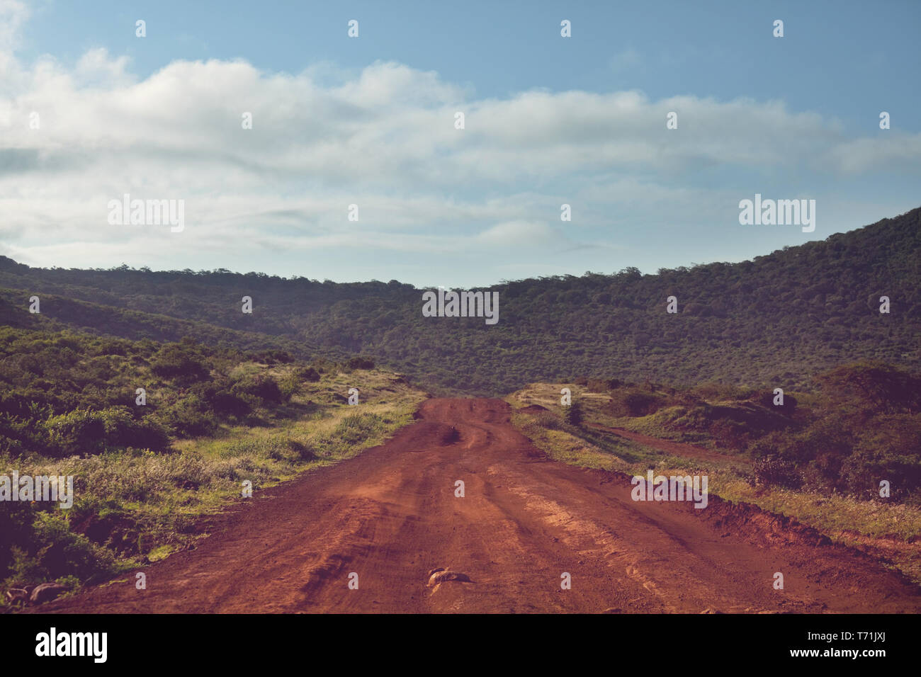 African expedition Stock Photo Alamy African expedition Stock Photo Alamy
