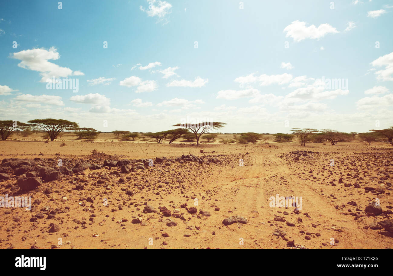 Arid expedition hi-res stock photography and images - Alamy