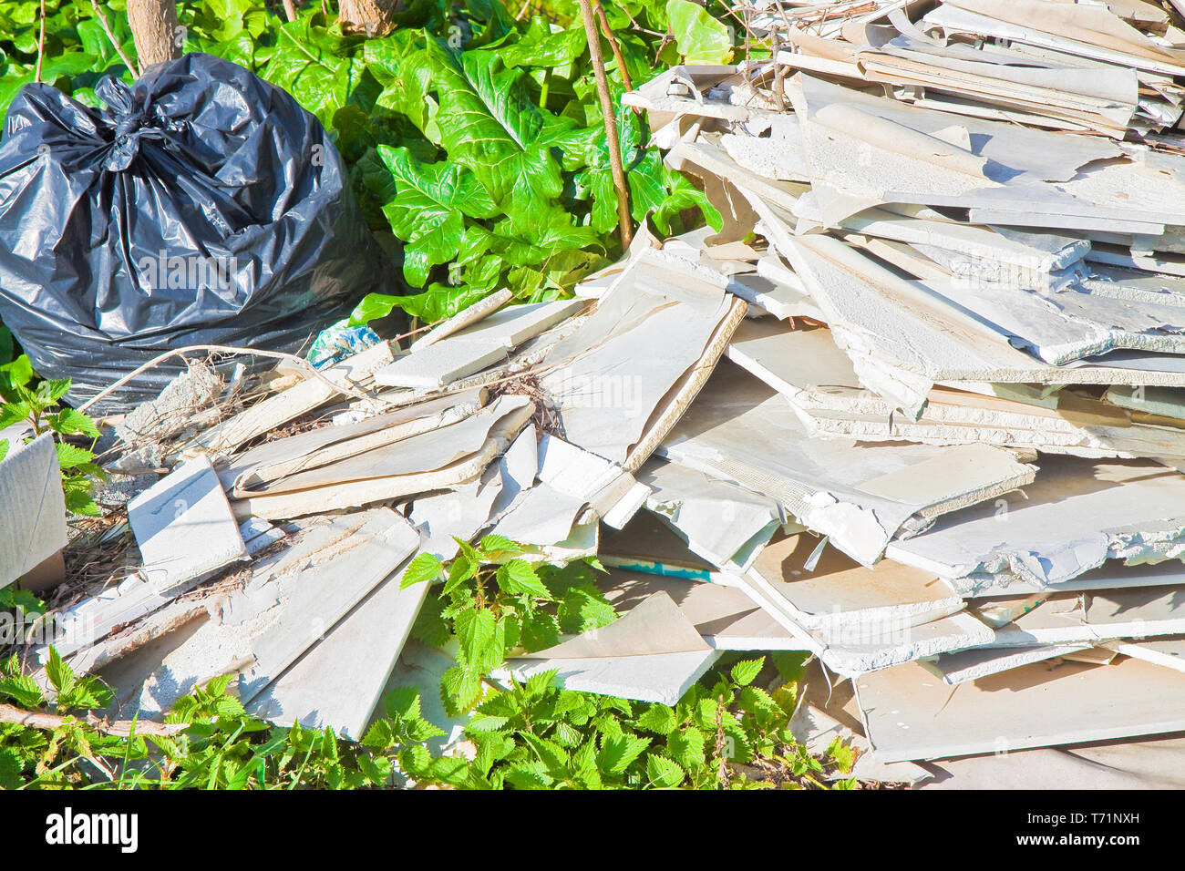 Criminal Litter Stock Photos & Criminal Litter Stock Images Alamy