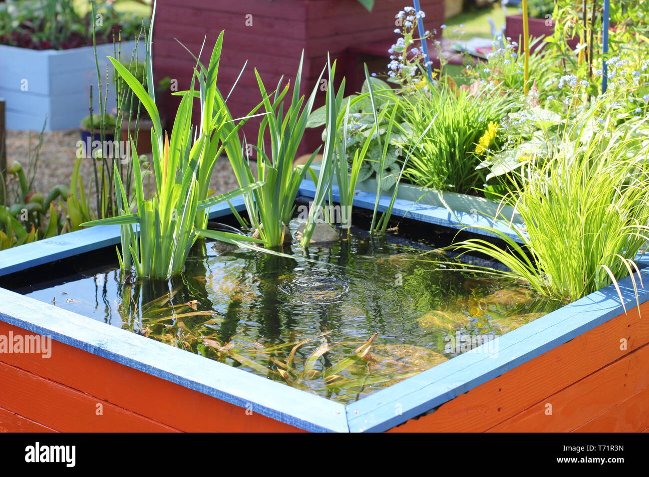 Small raised garden pond made from recycled wooden pallets Stock Photo