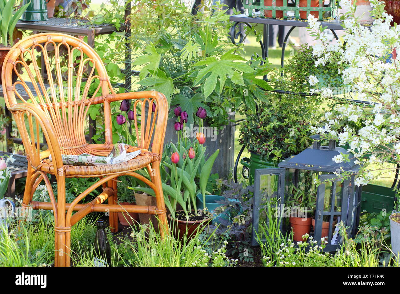 Chic smal garden. An urban oasis in a courtyard setting. Designer: Rachel Forbes for Harrogate Spring Flower Show 2019 Stock Photo