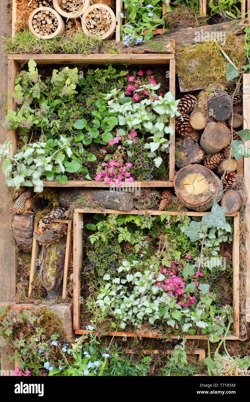 Upcycled Vertical Garden - Upcycled Vertical Garden Ideas