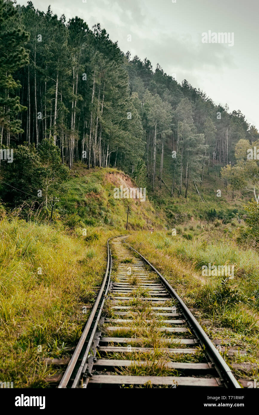old railroad in the rainforest Stock Photo