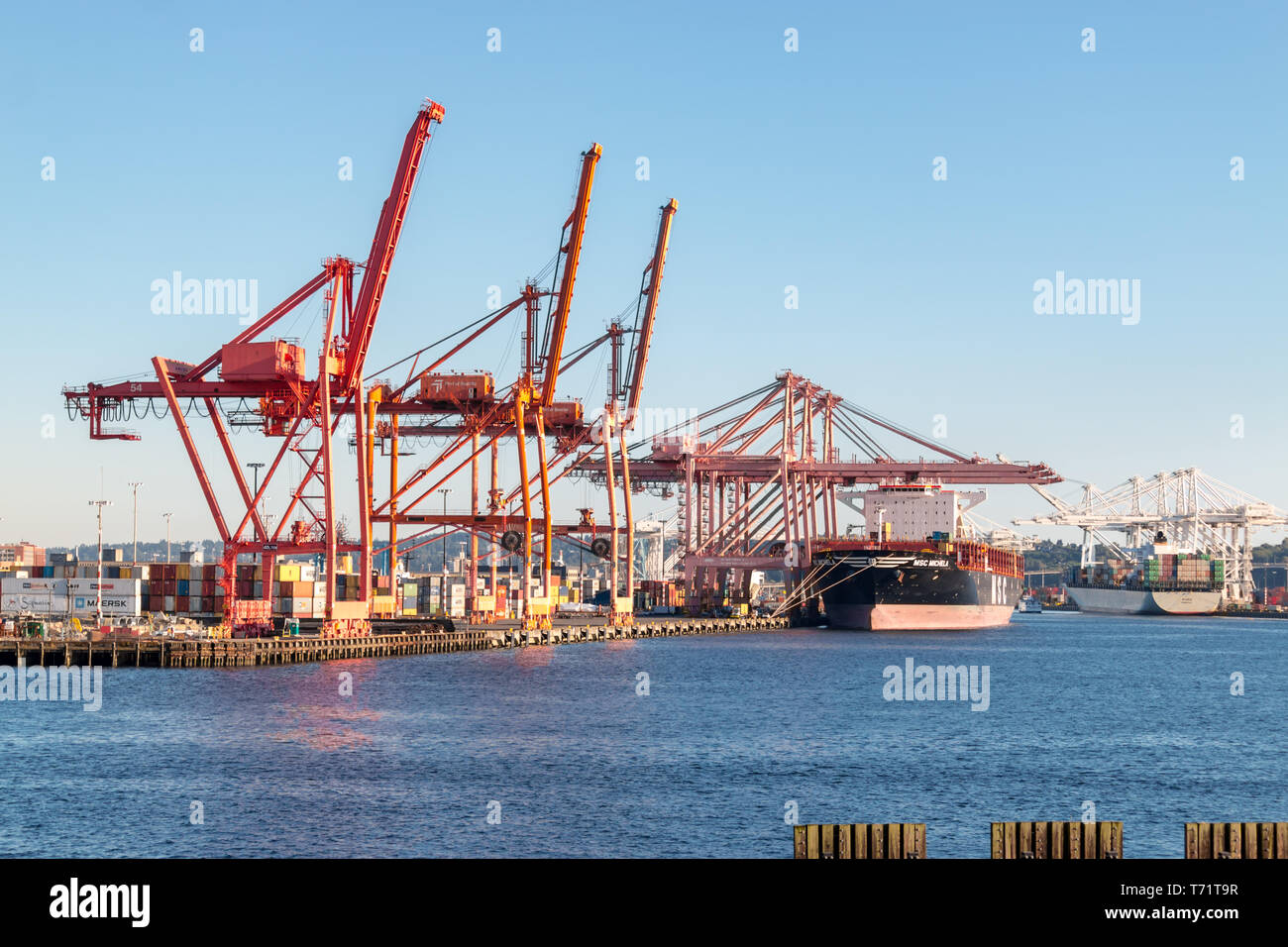 Shipping cranes along the shoreline of Puget Sound, Washington state. Stock Photo