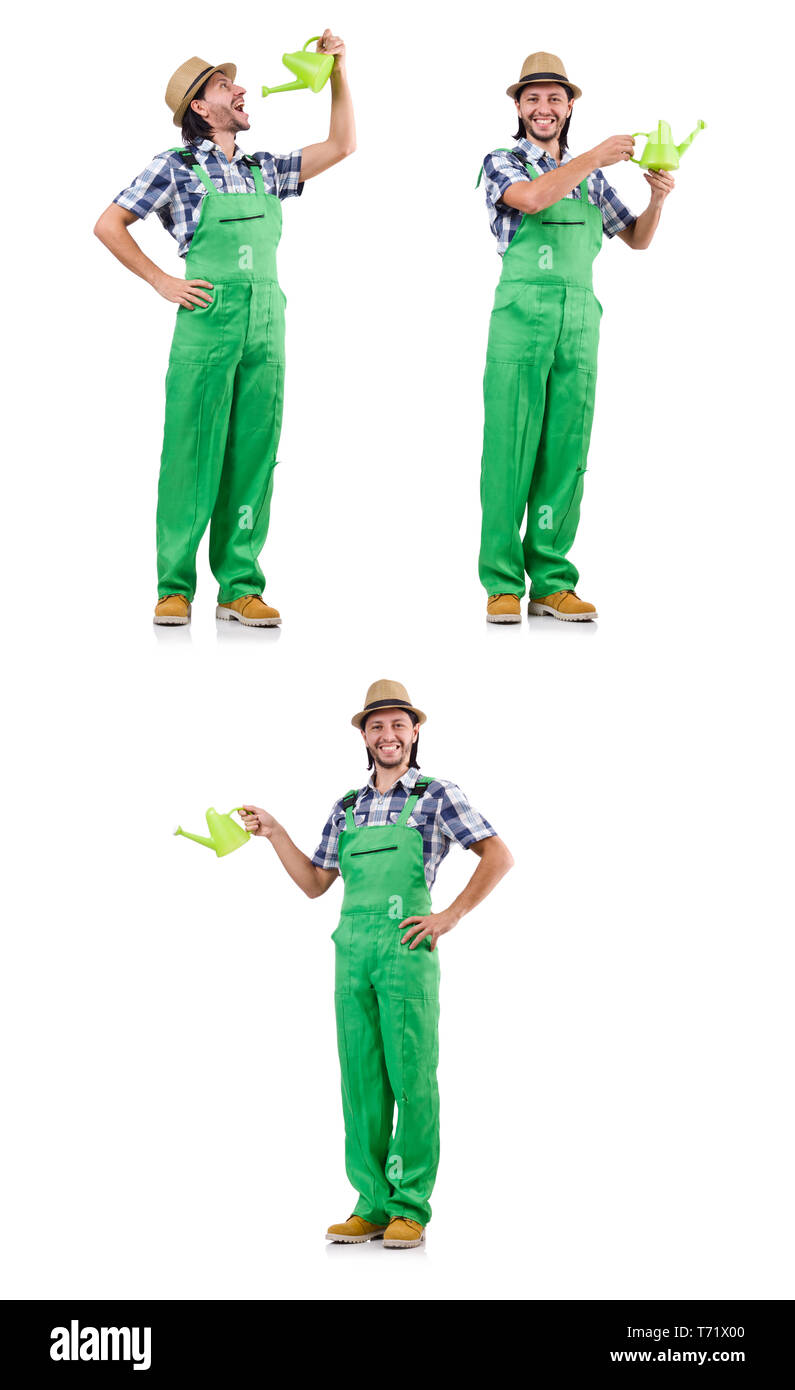 Young cheerful gardener with watering can isolated on white Stock Photo ...