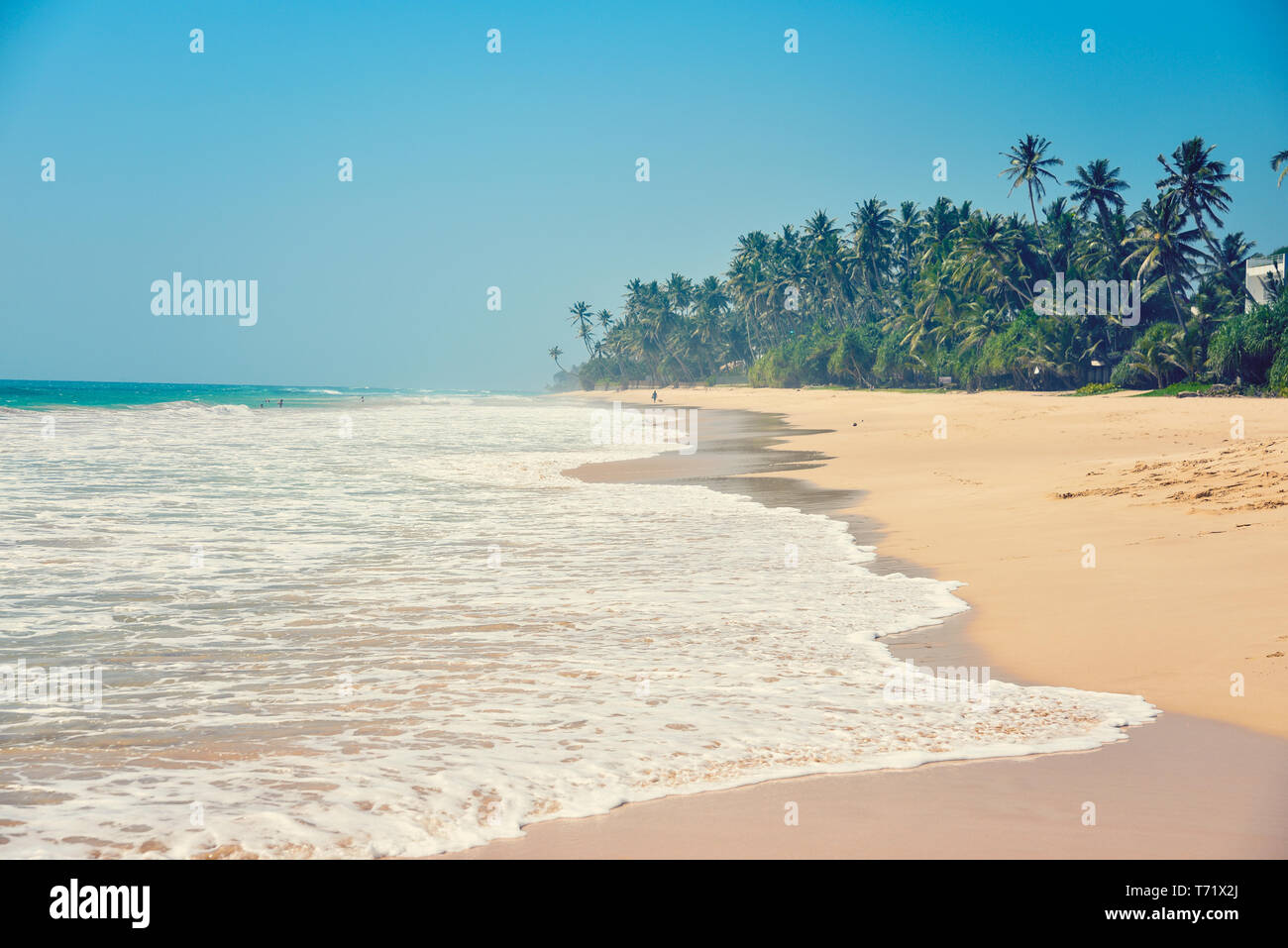 Tropical coast hi-res stock photography and images - Alamy