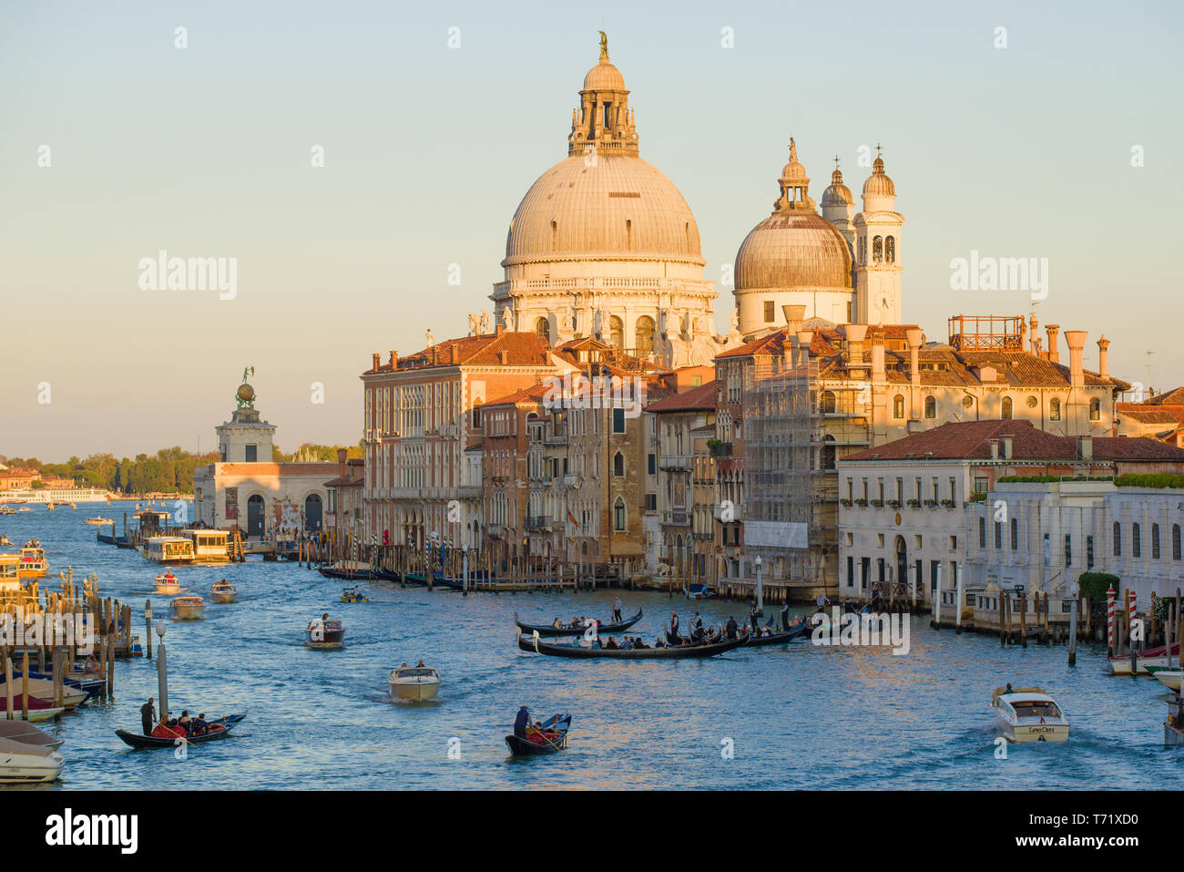 View of the dome of the Basilica di Santa Maria della Salute on a sunny September evening. Venice Stock Photo