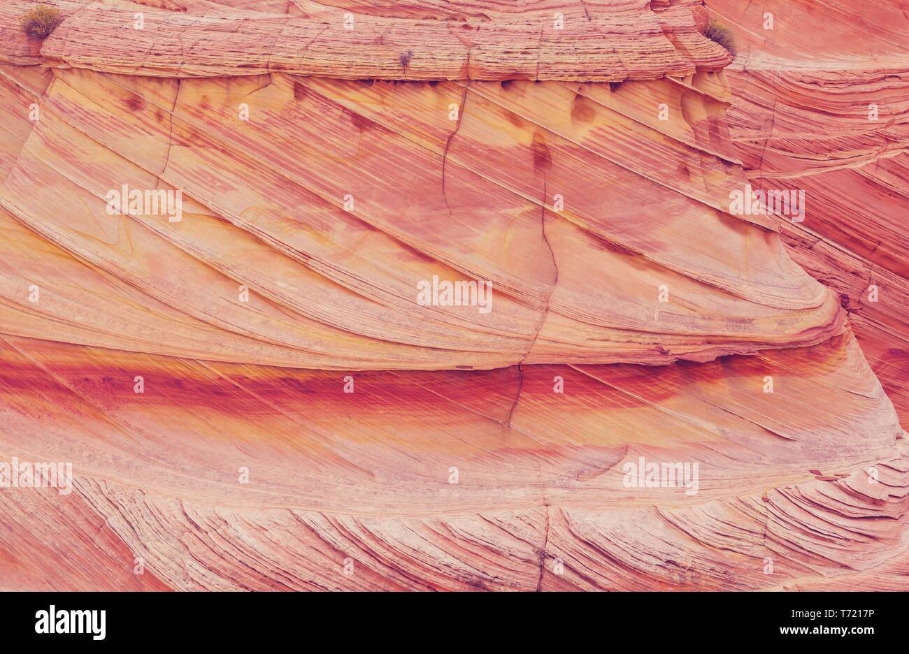Sandstone texture Stock Photo