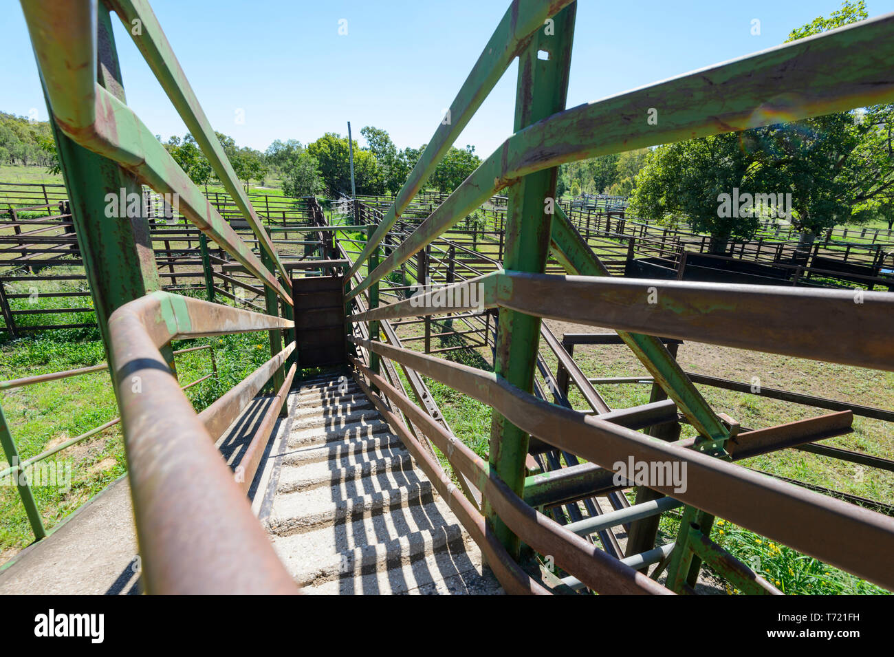 Cattle ramp hi-res stock photography and images - Alamy