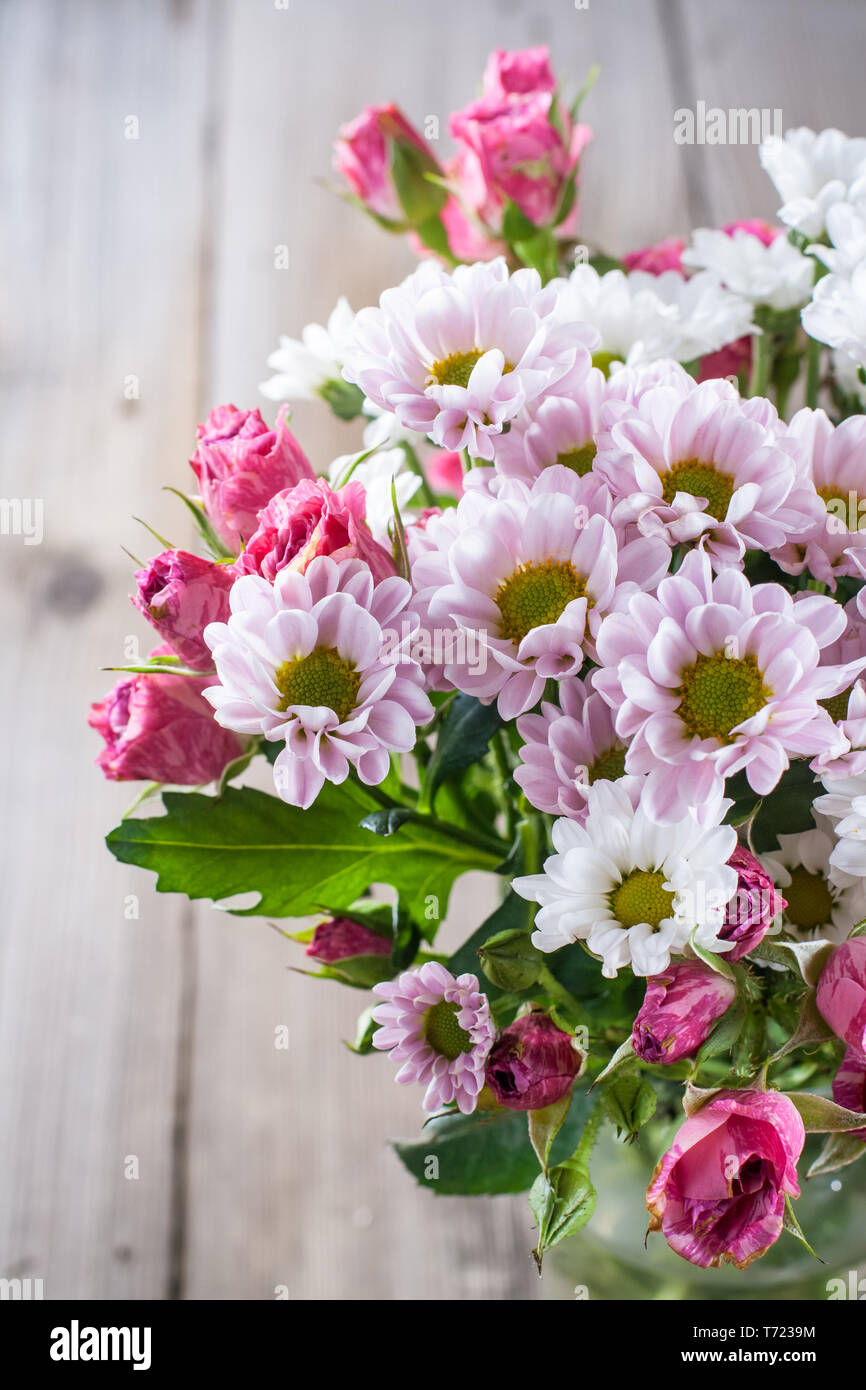 Chrysanthemums and roses hires stock photography and images Alamy