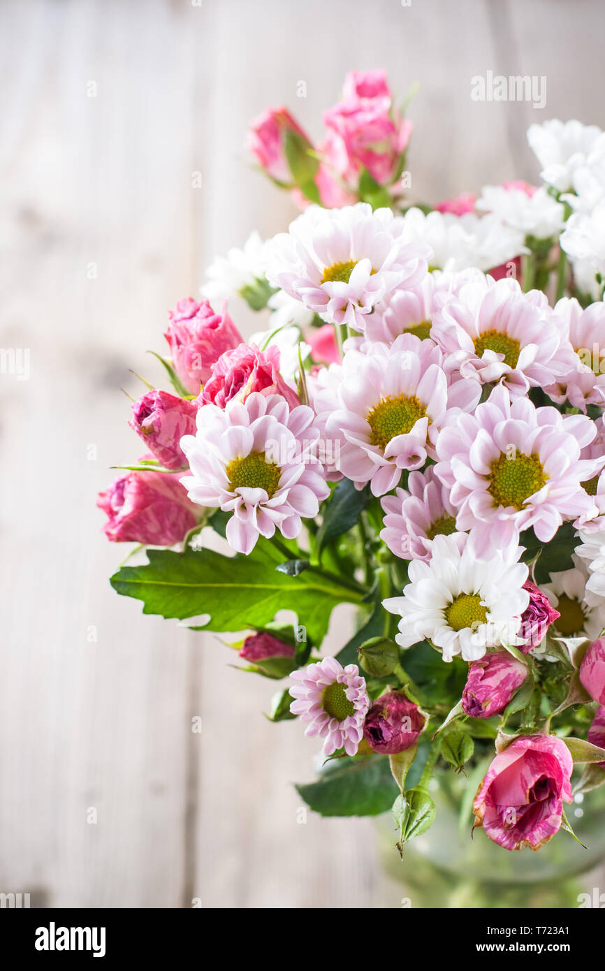 Chrysanthemums and roses hires stock photography and images Alamy