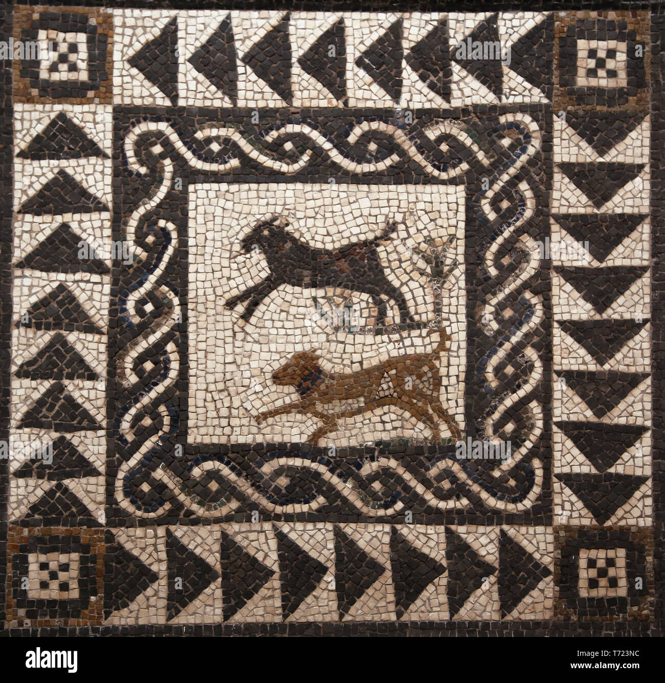 'Opus Tessellatum' mosaic. Sevilla, Andalusia, Spain. 2nd-3rd century, Archaeological Museum of Seville. Andalusia. Spain. Stock Photo