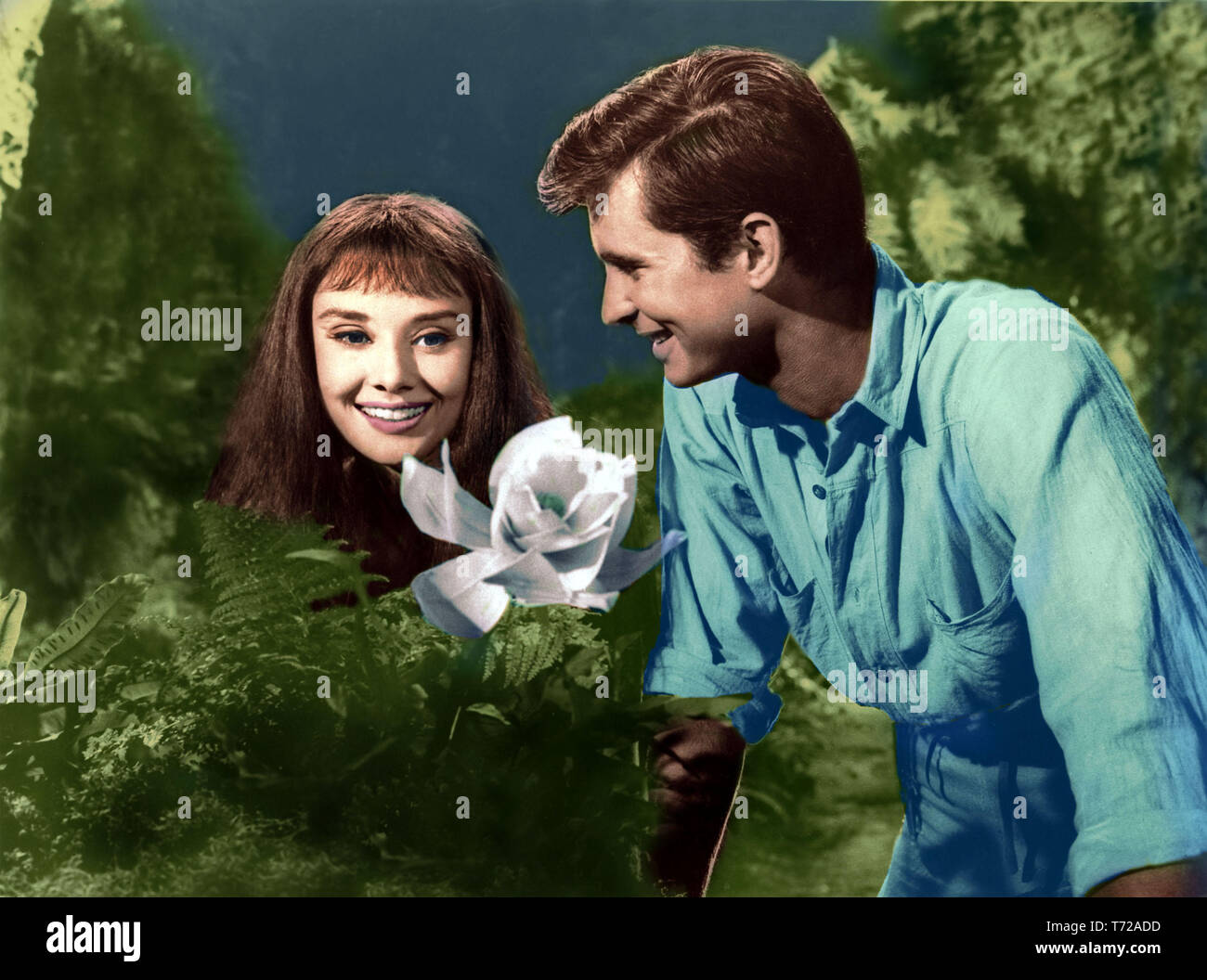 Green mansions Audrey Hepburn Anthony Perkins movie poster print