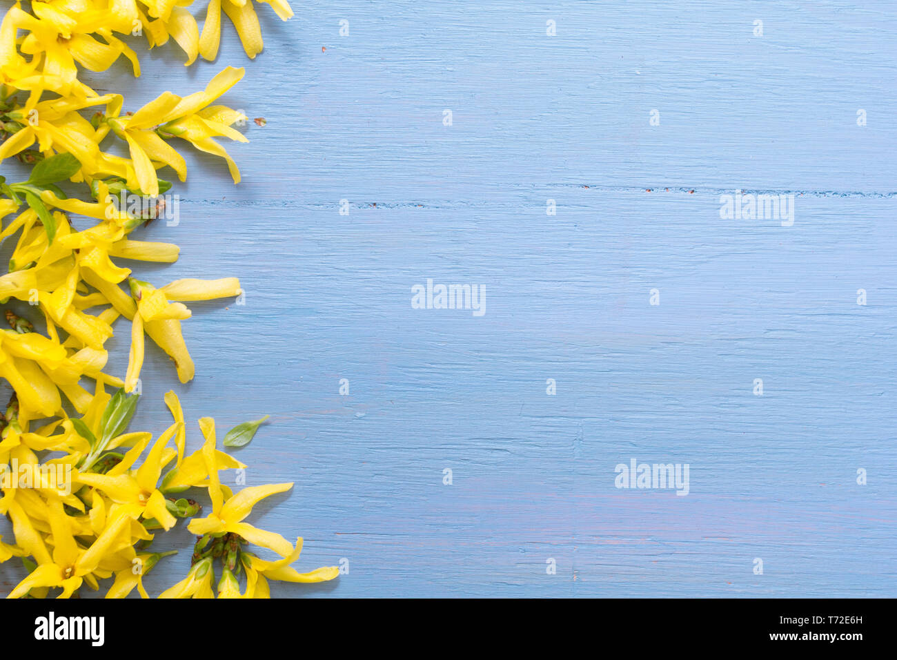 Blue and yellow flower border hi-res stock photography and images - Alamy
