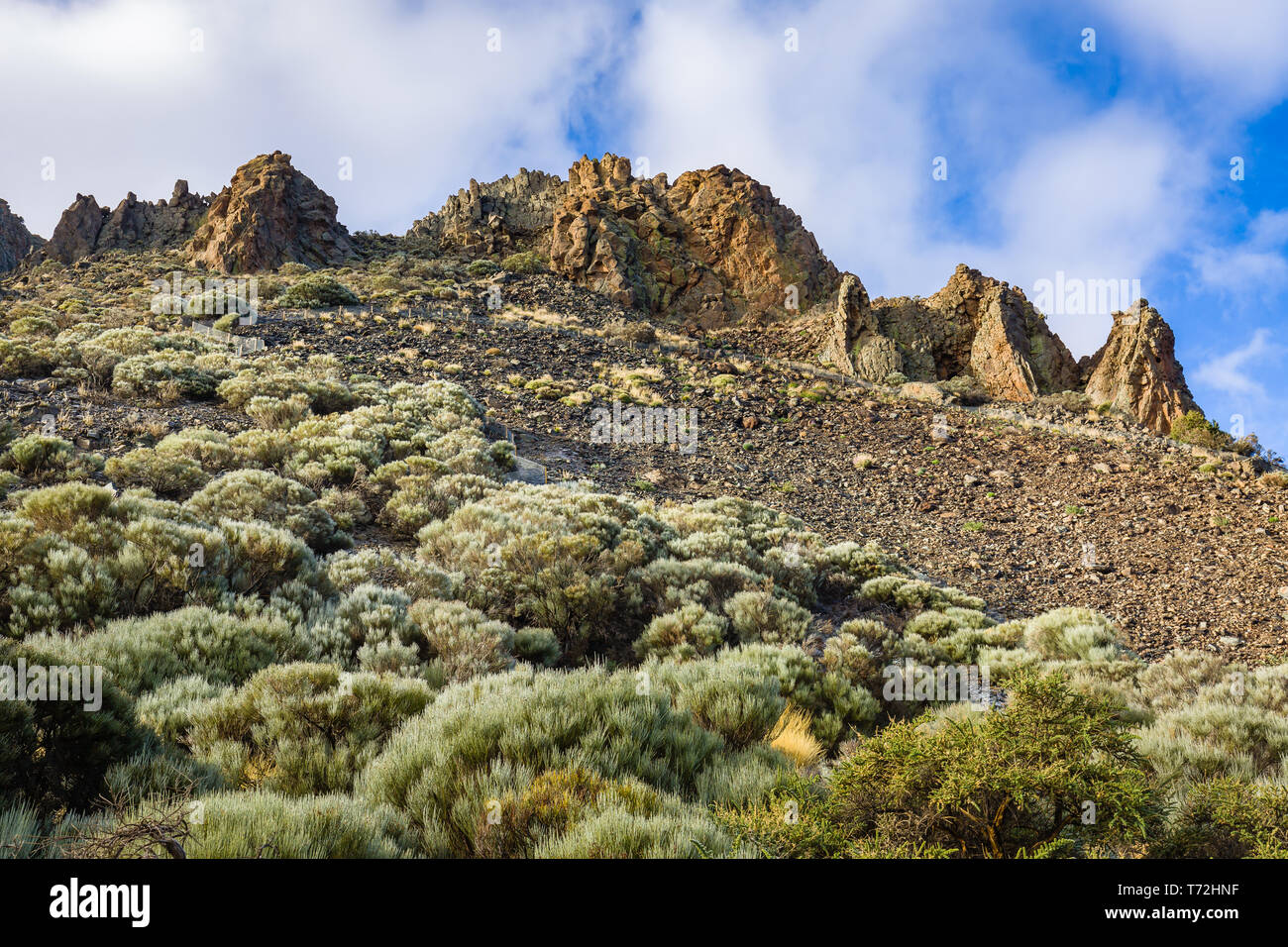 View of the landscape in Teide National Park. Tenerife, Canary Islands, Spain Stock Photo