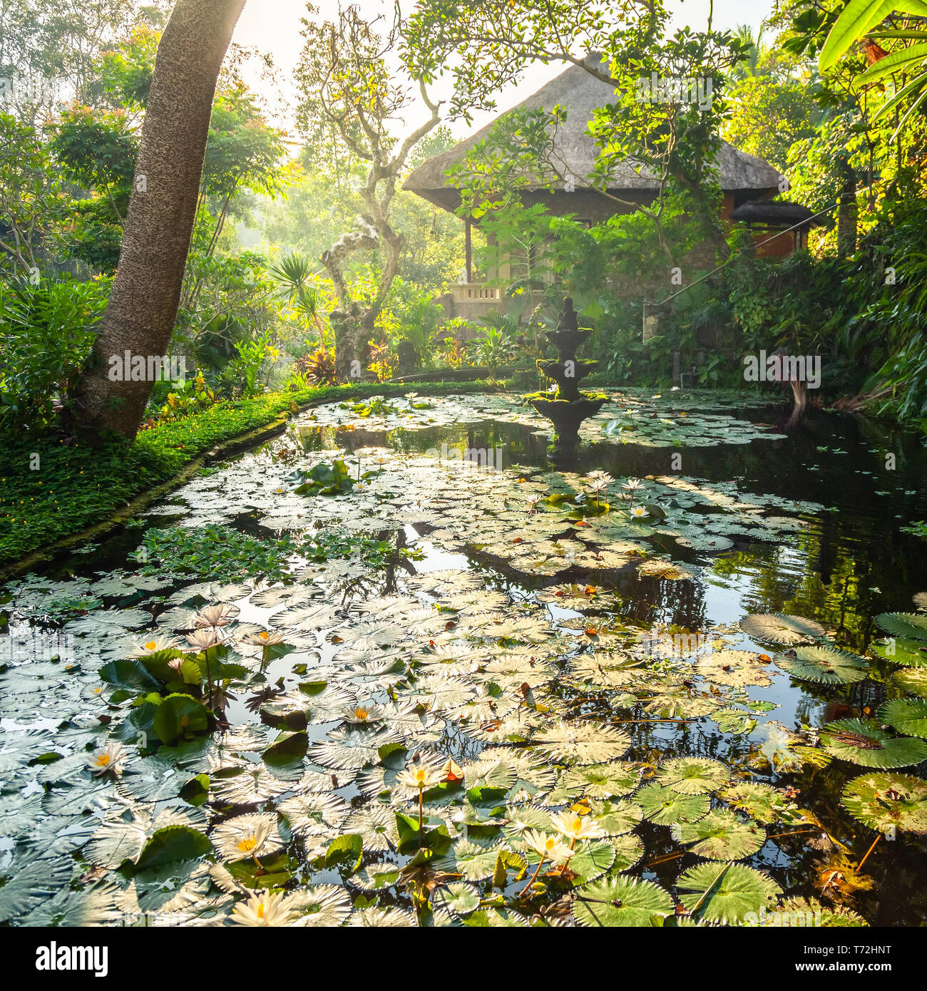 Ornamental pond and fountain in a garden in Bali Stock Photo Alamy
