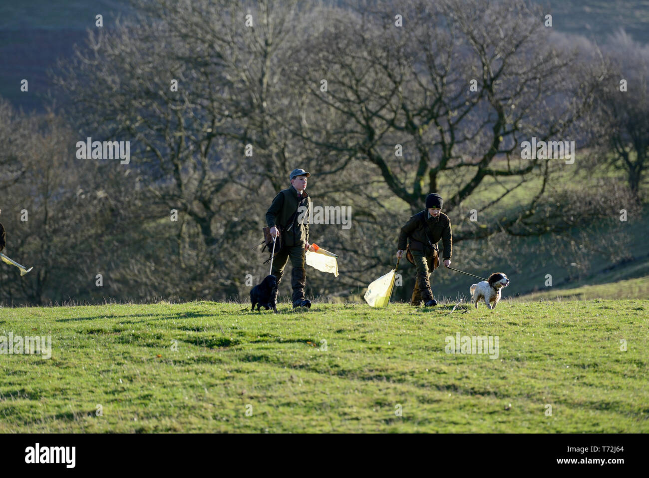 Beaters shoot hires stock photography and images Alamy