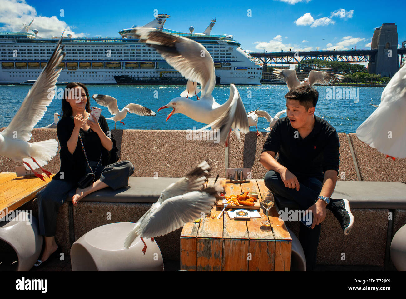 Bars and restaurants in the promenade Circular Quay of Harbour Bridge