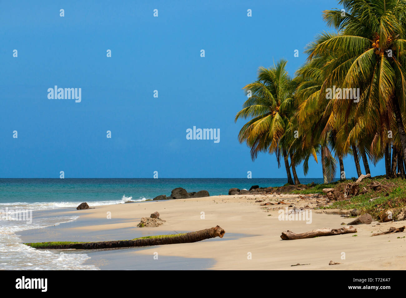 Boats and palms trees in the beach, Corn Island, Caribbean Sea, Nicaragua, Central America
