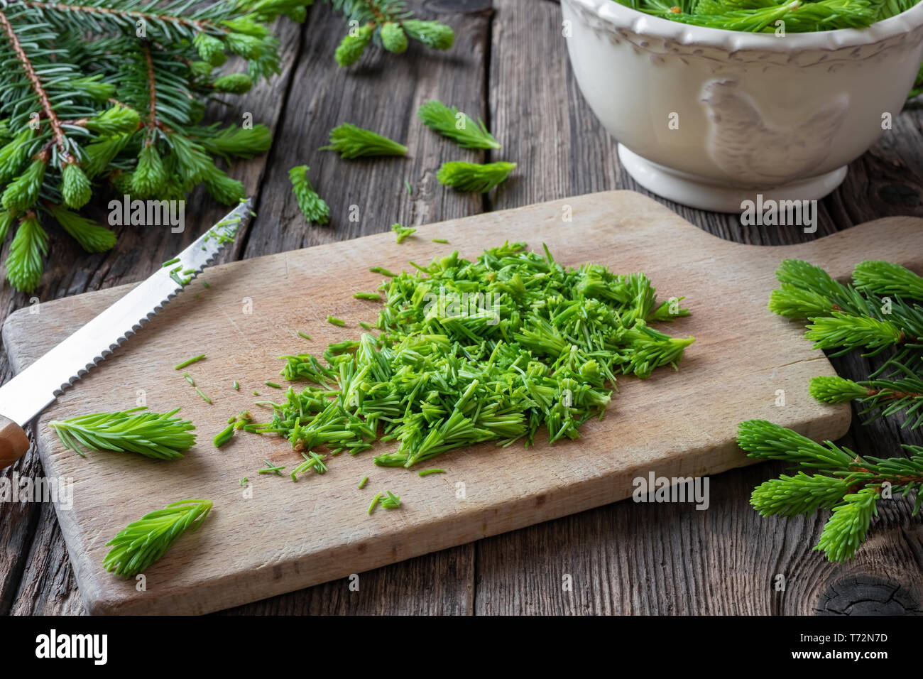 Cutting up young spruce tips to prepare homemade herbal syrup Stock Photo