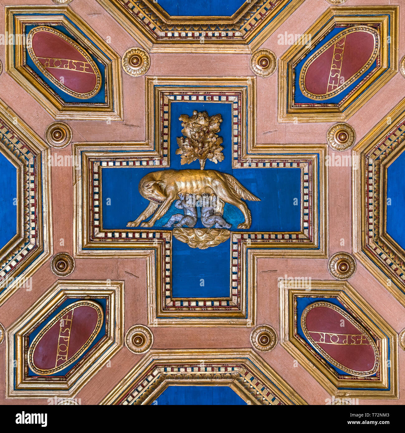Wooden decoration with the Wolf in the ceiling of the Capitoline Museums, in Rome, Italy. Stock Photo