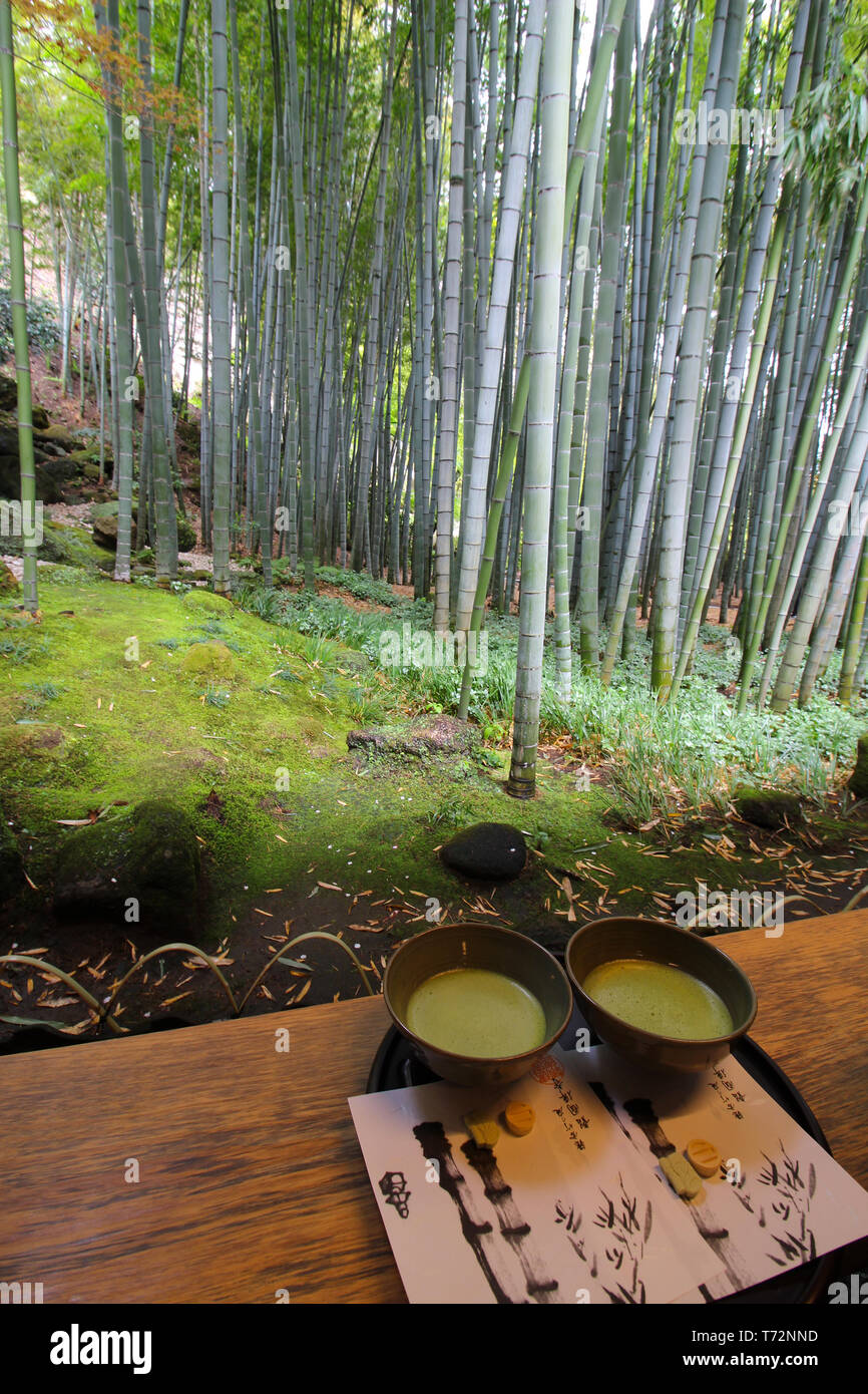 Kamakura, Japan - April 7, 2019 : Two cups or bowls with fresh matcha tea in the giant bamboo garden in Kamakura, Japan Stock Photo
