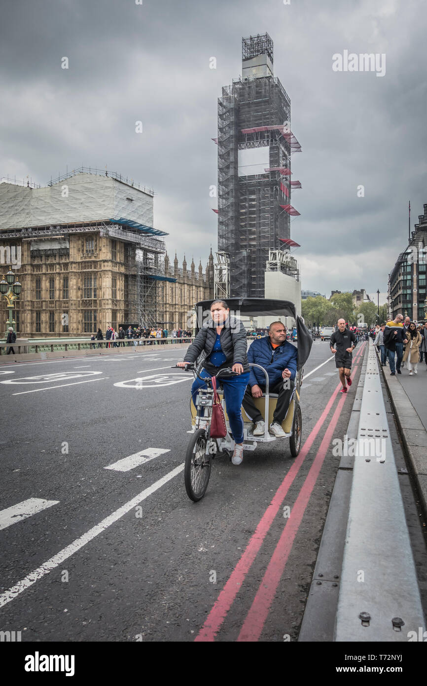 Tukli mushukning katta fotosuratlari