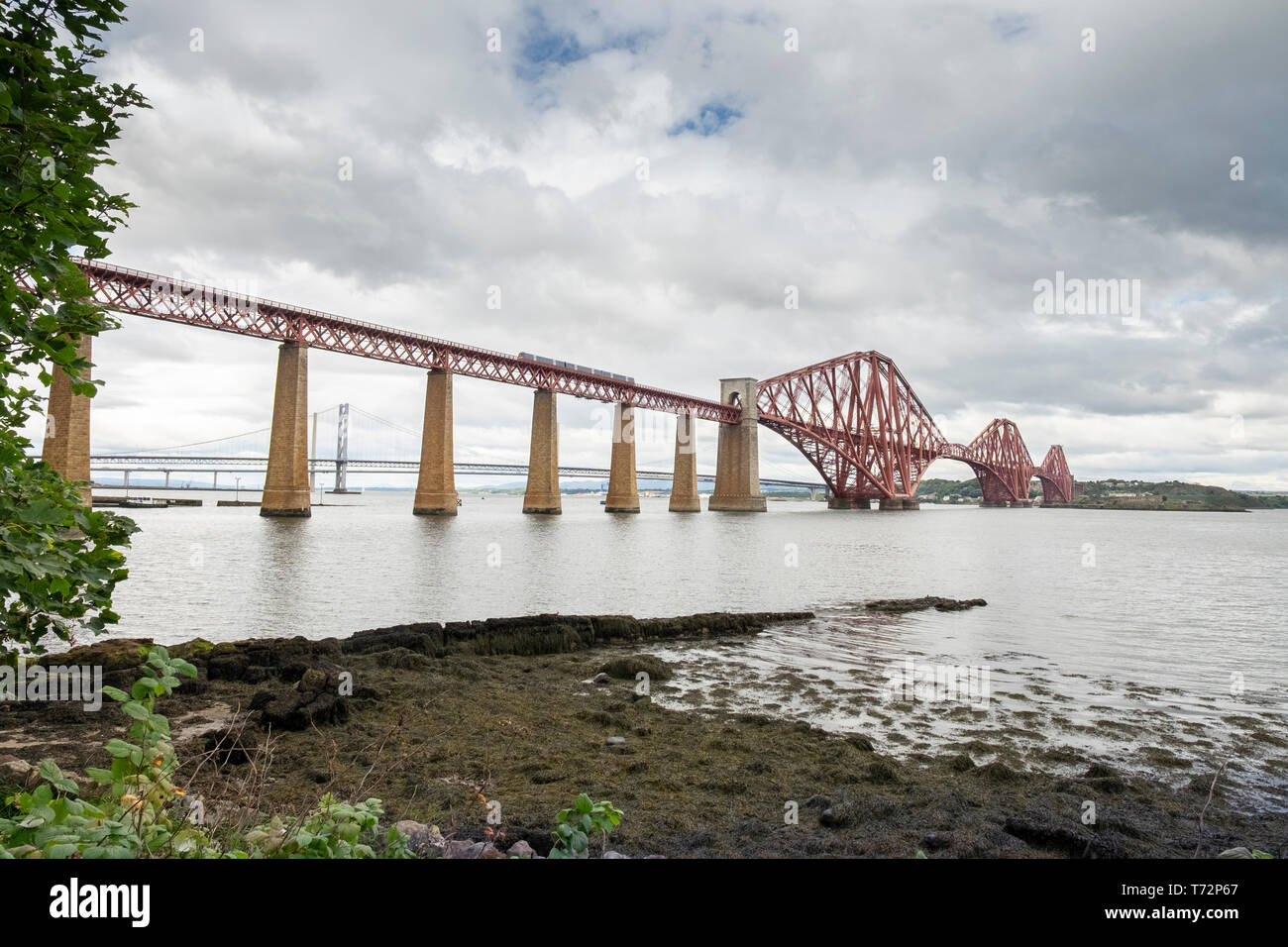 Train on the Forth Rail Bridge over the Firth of Forth, South Queensferry near Edinburgh, Lothian, Scotland. The road bridges are in the background Stock Photo