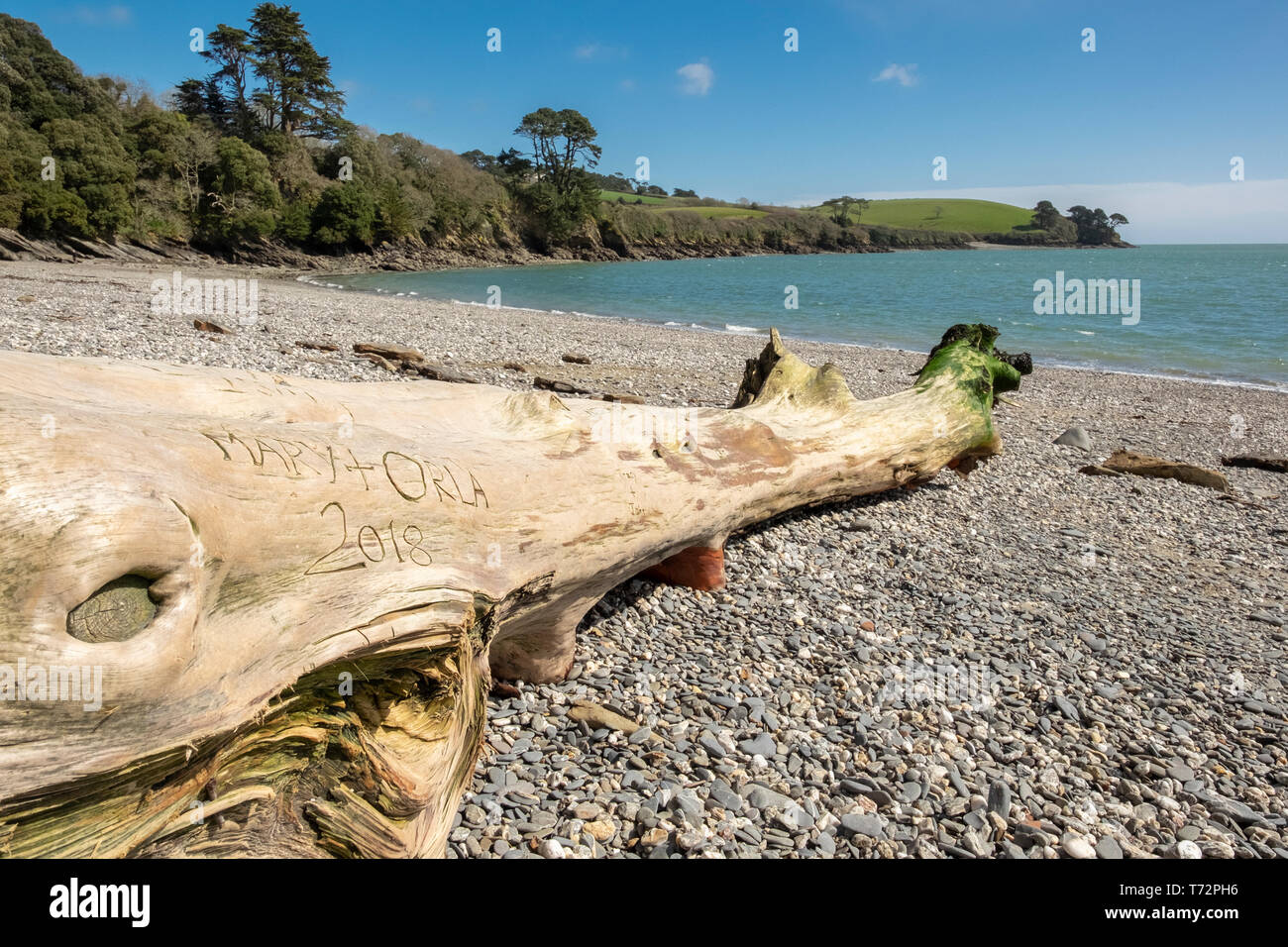 Carved tree trunk hires stock photography and images Alamy