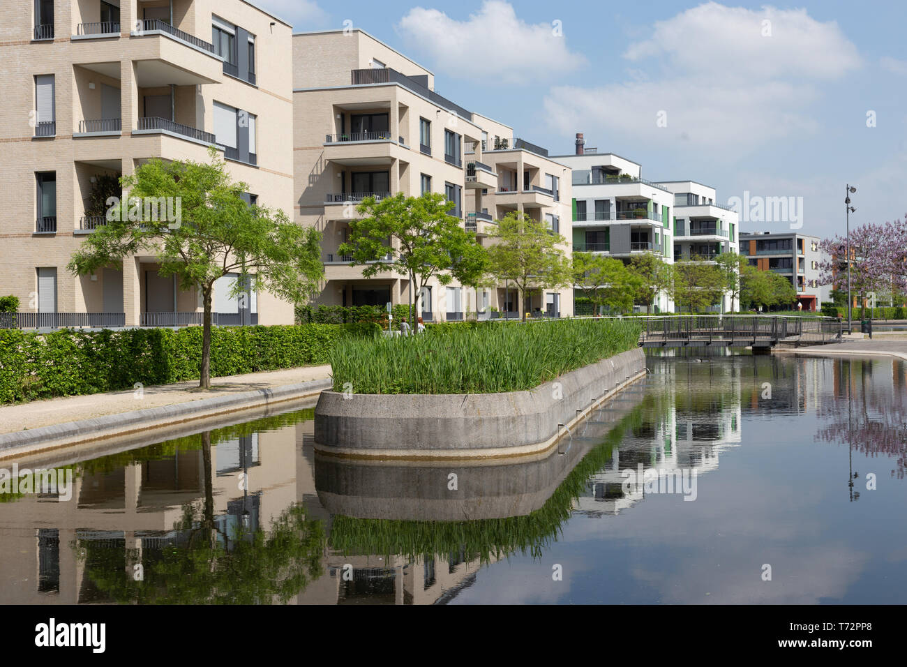 Residential real estate, Essen, Germany, Gruene Mitte Stock Photo Alamy