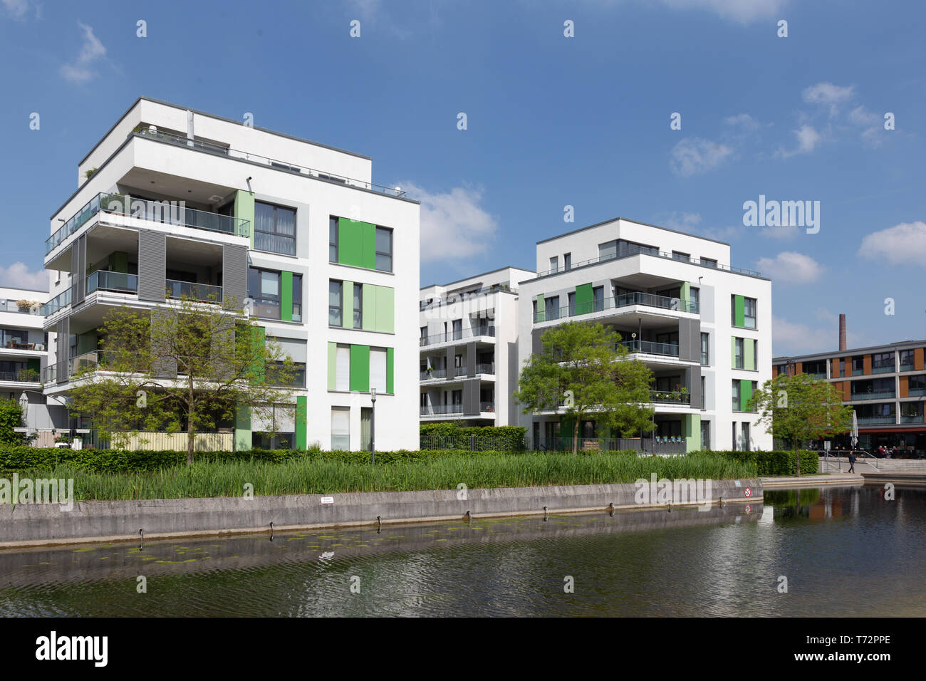 Residential real estate, Essen, Germany, Gruene Mitte Stock Photo Alamy