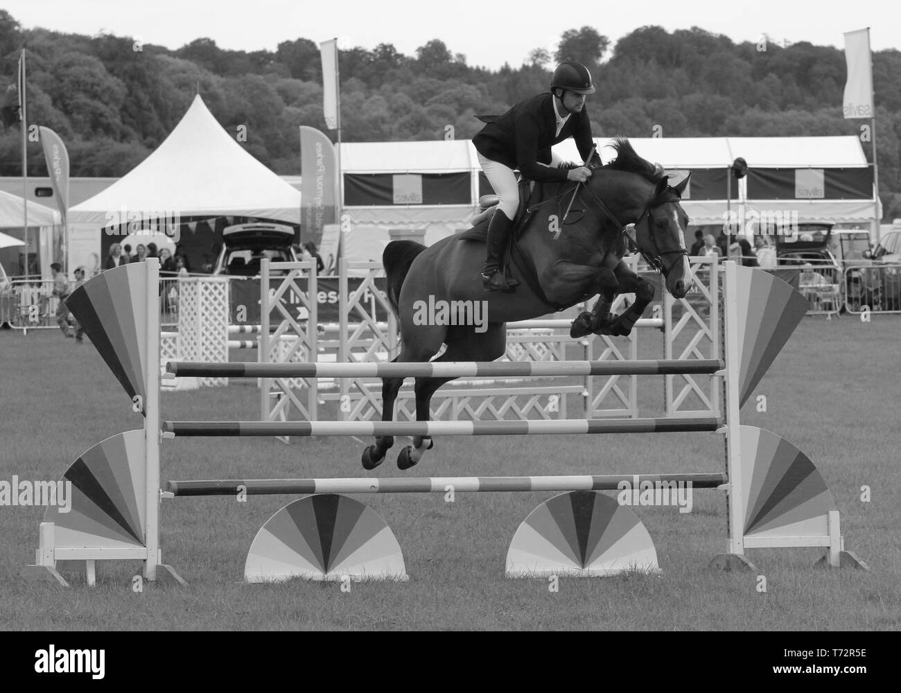Jumping Horse Black and White Stock Photos & Images Alamy