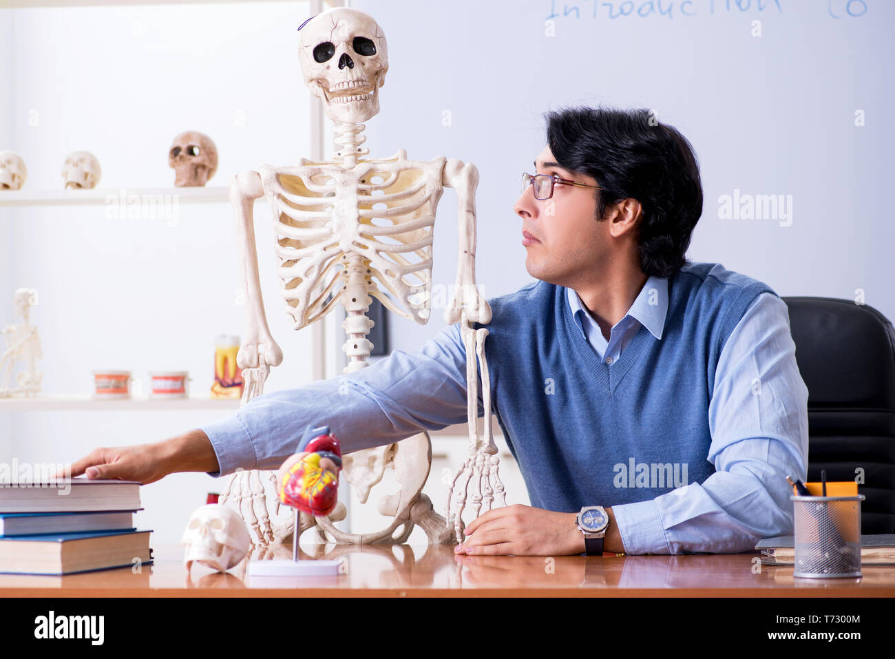 Young lecturer teacher teaching anatomy Stock Photo