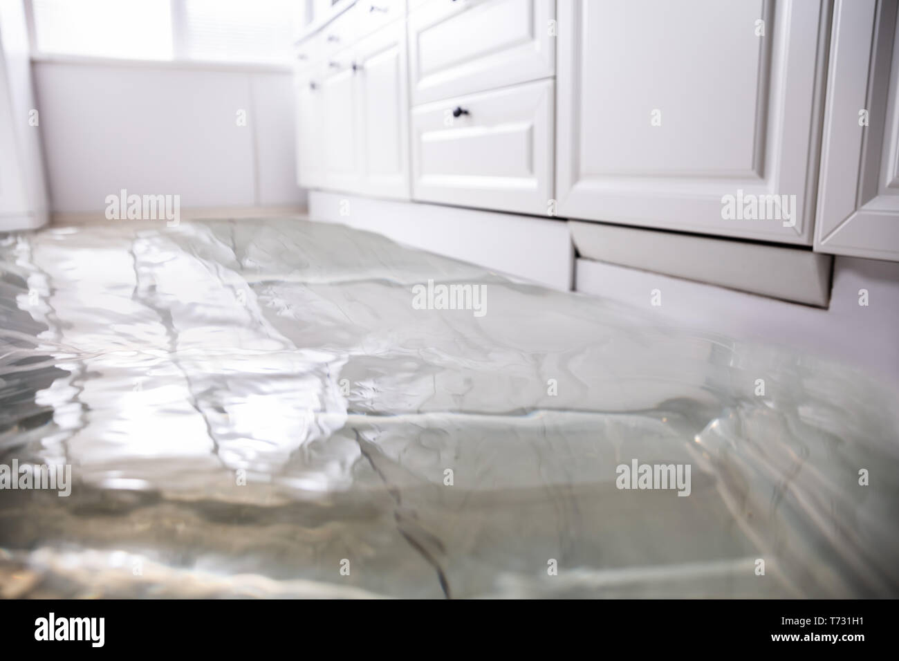 Closeup Of Flooded Floor In Kitchen From Water Leak Stock Photo Alamy