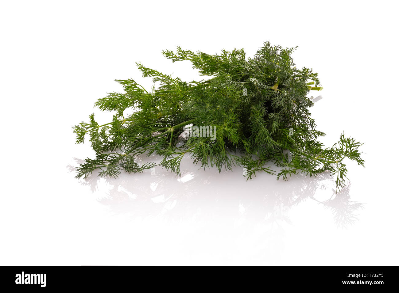 Dill green herbs focus stacking white isolated Stock Photo Alamy