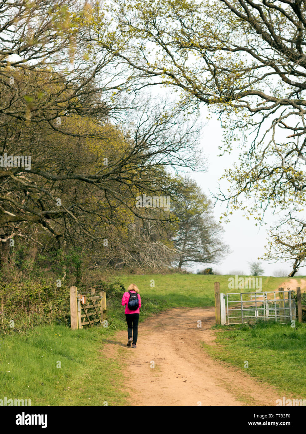 Trekker Walking along a Path In The Surrey Hills Stock Photo