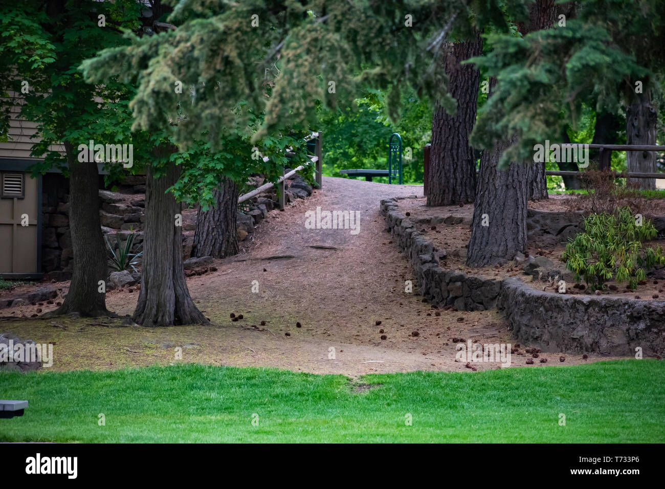 Lush Green Beautiful and Inviting Forested Park Path at Drake park in Bend Oregon Stock Photo