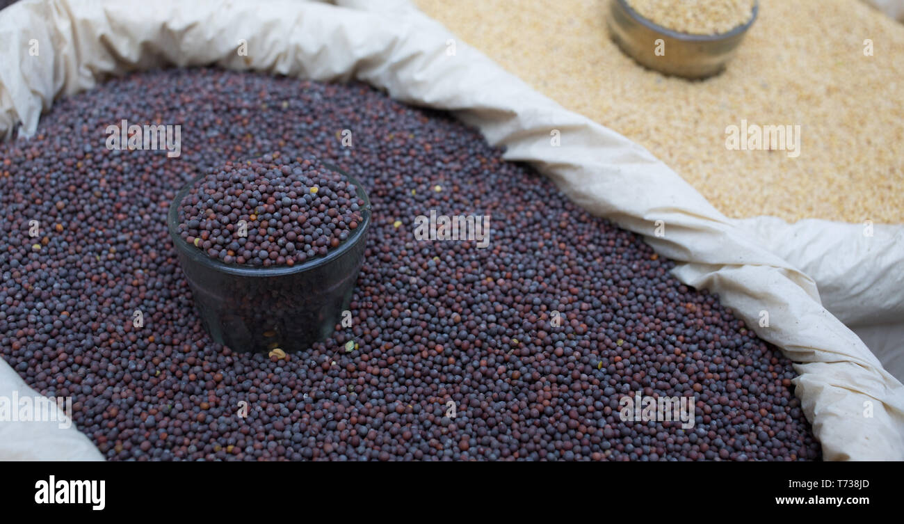 Mustard seeds for sale at a local Indian market Stock Photo Alamy