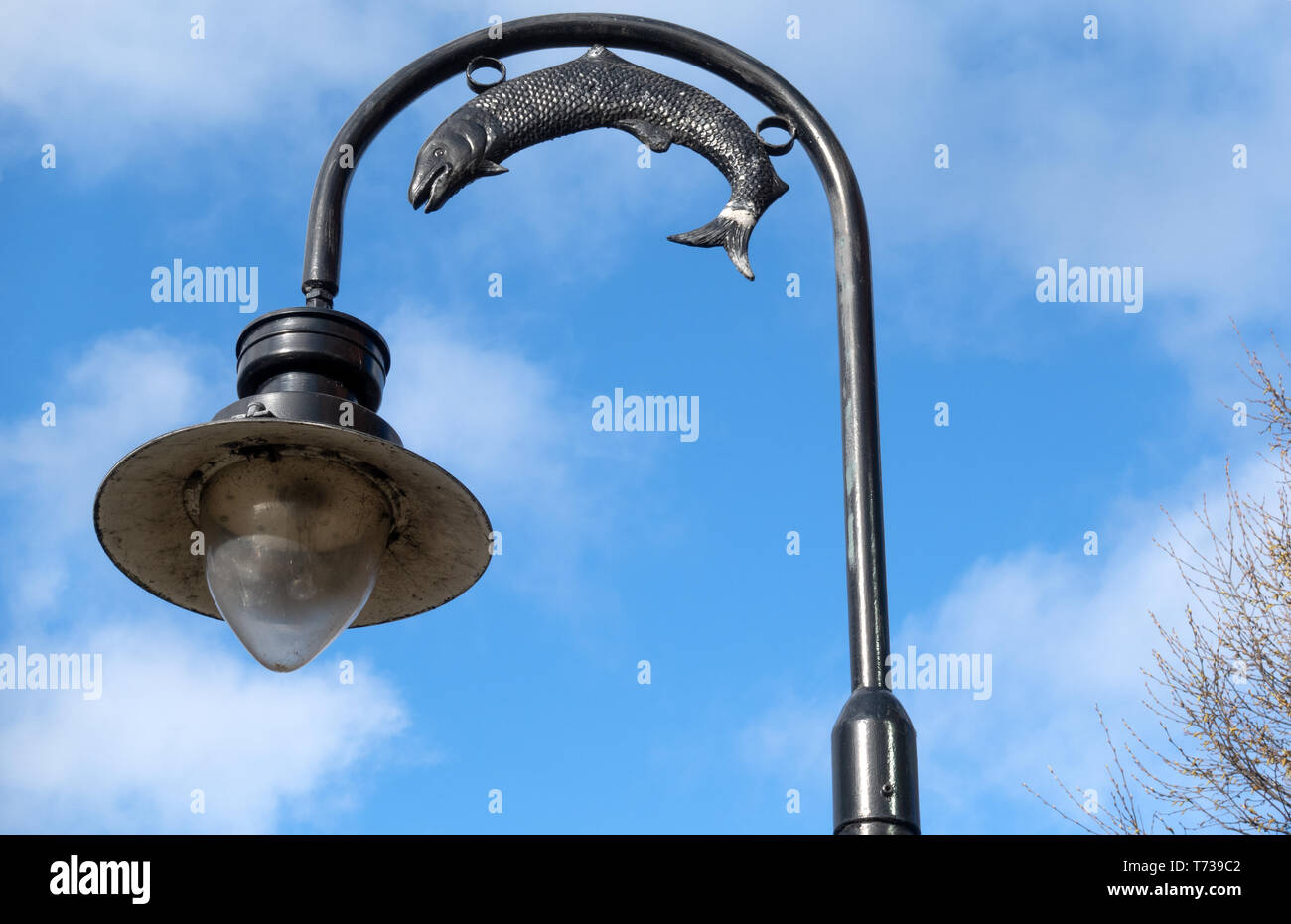 Lamp Post Dublin, Financial Centre, Docklands, Ireland Stock Photo Alamy
