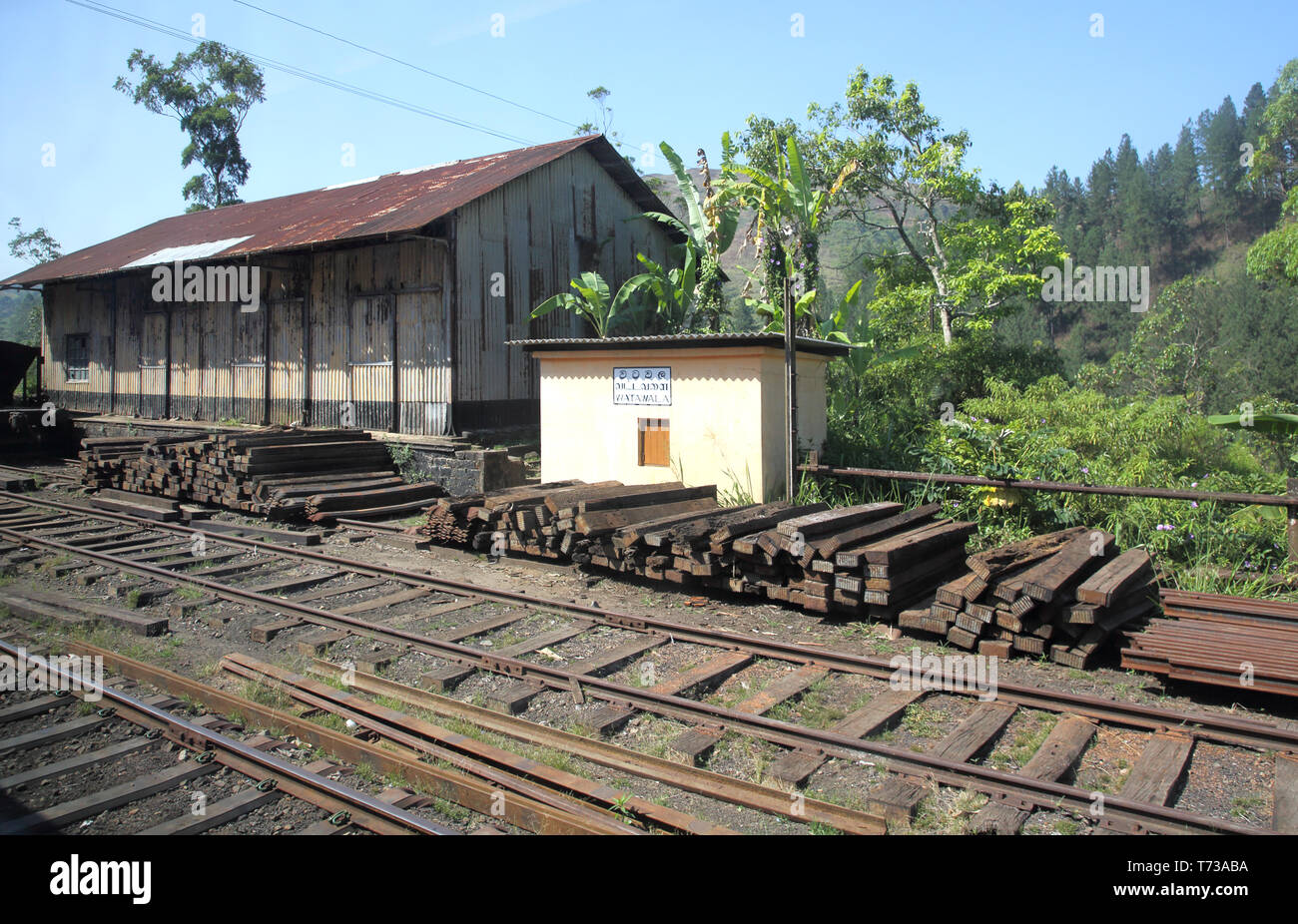 traveling by train through the hill country at watawala in sri lanka Stock Photo