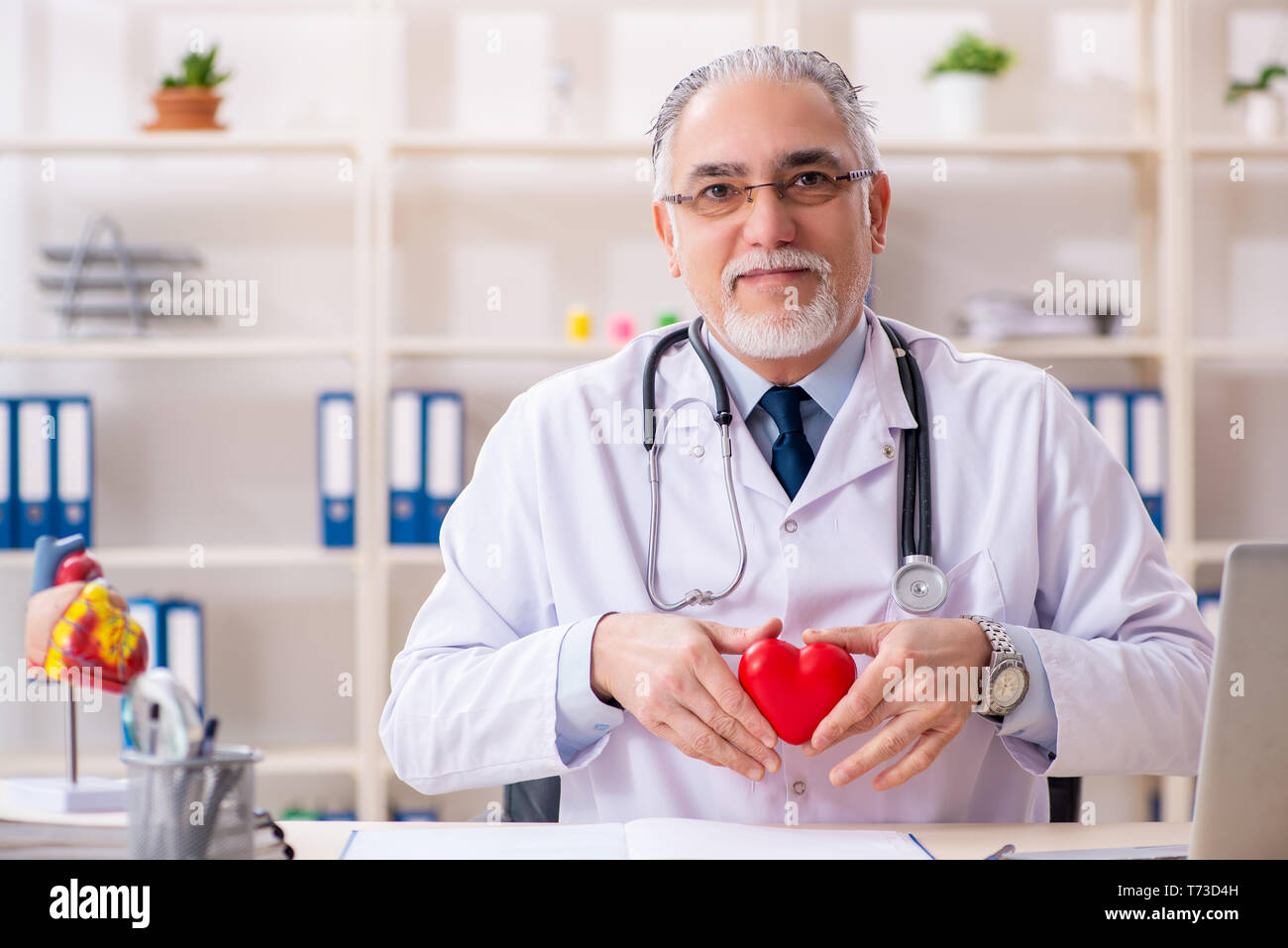 Клініка святого миколая кардіолог