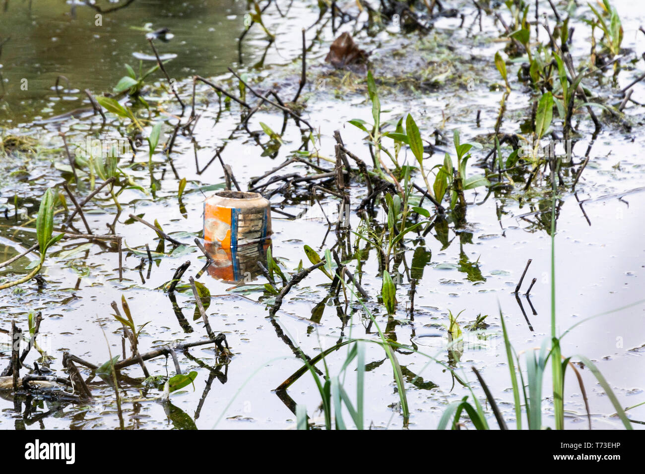 A can of IruBru in Eliburn Reservoir, Livingston Stock Photo Alamy