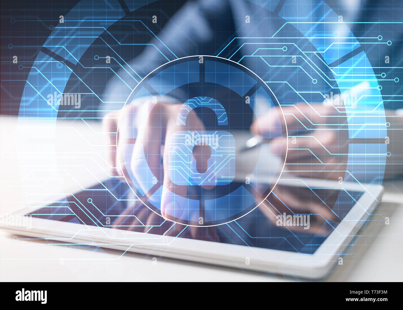 Computer security and information technology Stock Photo Alamy